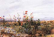 Wildflowers with a View of Dublin